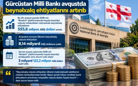 Gürcüstanın strateji valyuta ehtiyatları 8 milyard dolları keçib