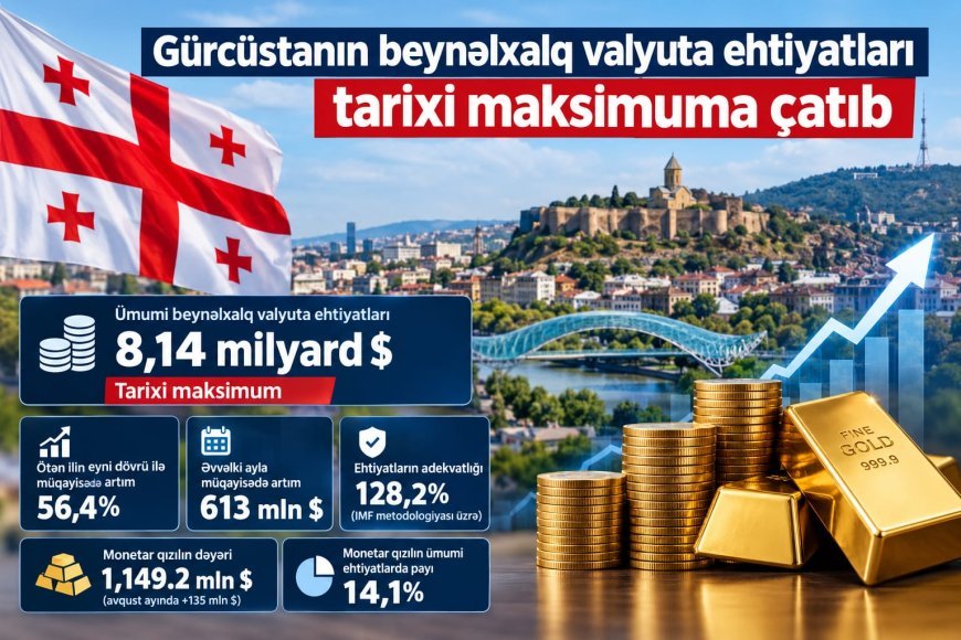 Gürcüstanın beynəlxalq valyuta ehtiyatları tarixi maksimuma çatıb