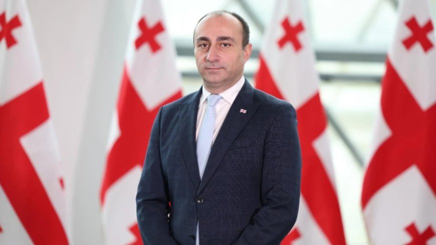 Baş nazir elan etdi: Gela Geladze daxili işlər nazirinin müavini olacaq