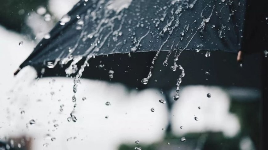 Gürcüstanda isti hava saxlanılacaq, lakin bəzi günlərdə yağış gözlənilir
