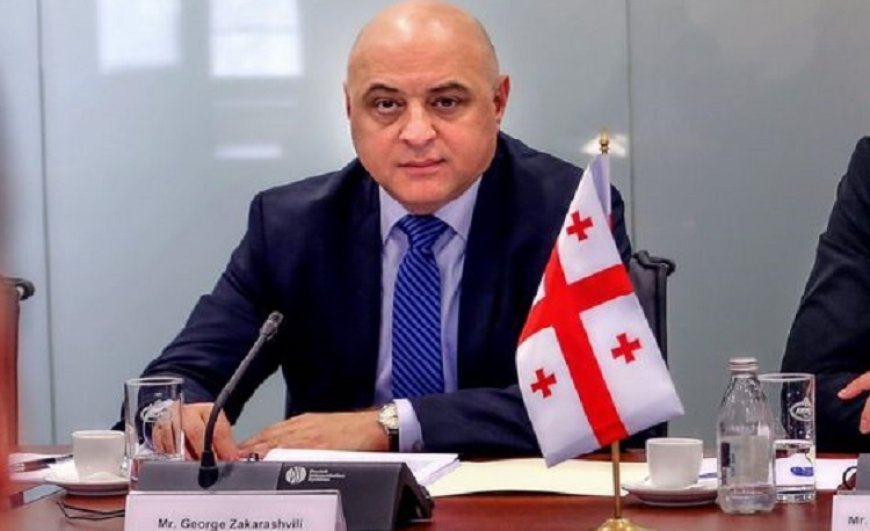 Gürcüstan Azərbaycana yeni səfir təyin edib