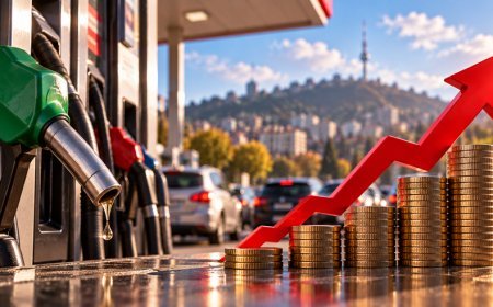 Gürcüstanda dizelin qiyməti tarixi maksimumu yenilədi