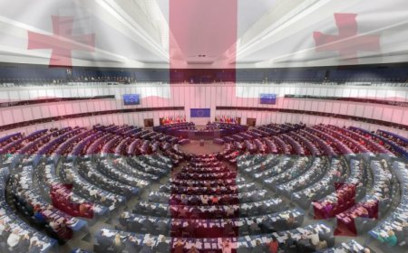 Avropa Parlamenti Gürcüstanla bağlı tənqidi qətnamə qəbul edib