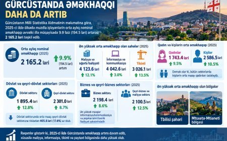 Gürcüstanda orta aylıq nominal əməkhaqqı artıb