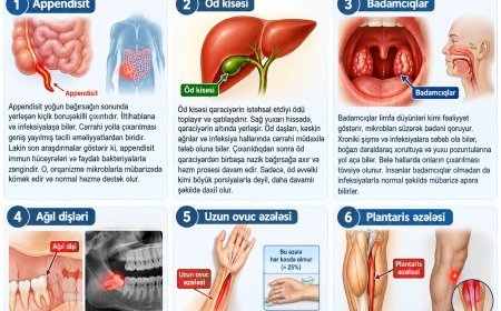 İnsan bədəninin lazımsız 6 hissəsi: olmasa daha yaxşıdır