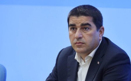 Brüssel Gürcüstanla dialoq əvəzinə boykota üstünlük verir