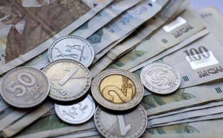 Məcburi köçkünlər üçün yeni proqram