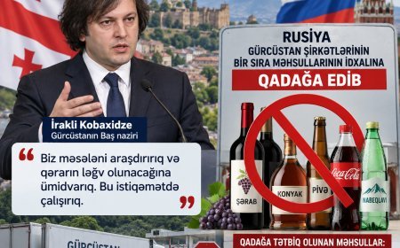 Kobaxidze Rusiyanın Gürcüstan məhsullarına idxal qadağasına münasibət bildirib