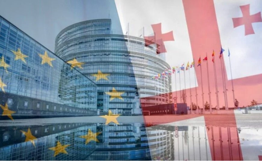 Gürcüstan lideri Avropa Parlamentini yalan yaymaqda ittiham edib