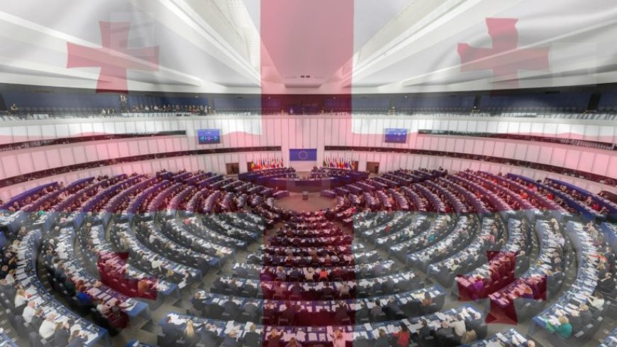 Avropa Parlamenti Gürcüstanla bağlı tənqidi qətnamə qəbul edib