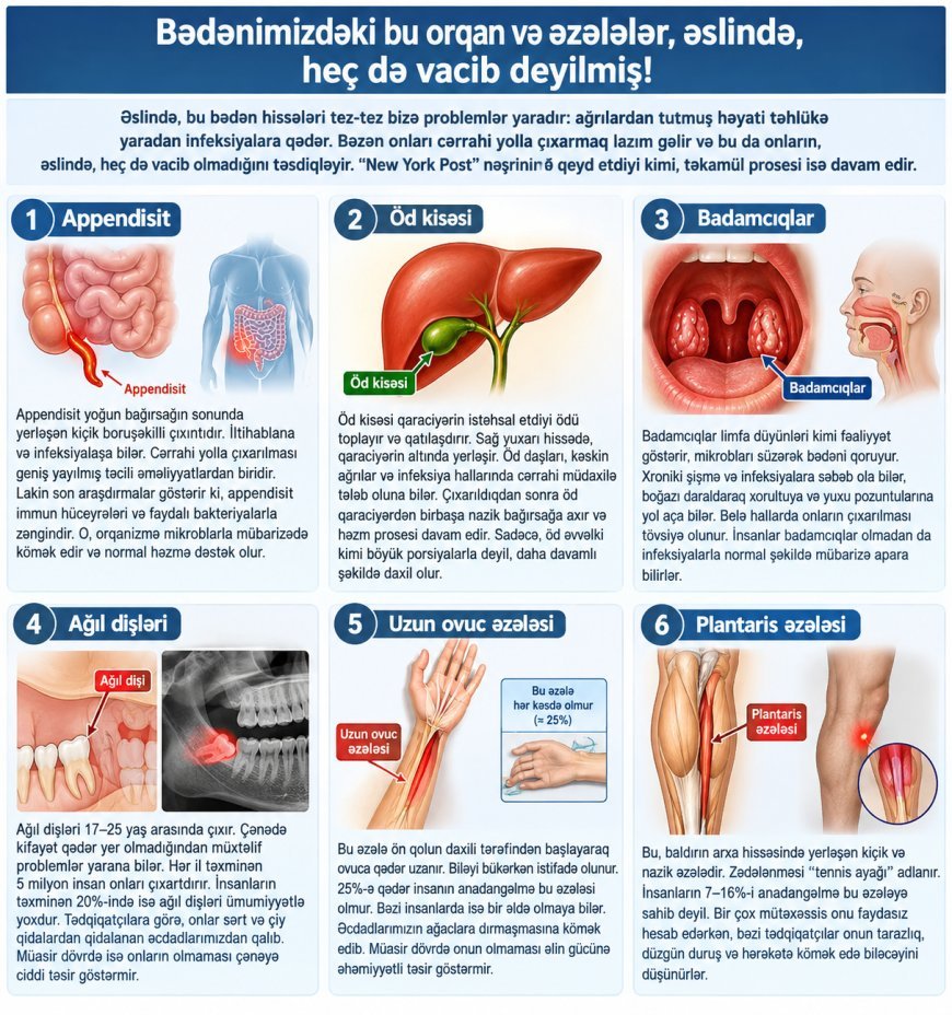 İnsan bədəninin lazımsız 6 hissəsi: olmasa daha yaxşıdır