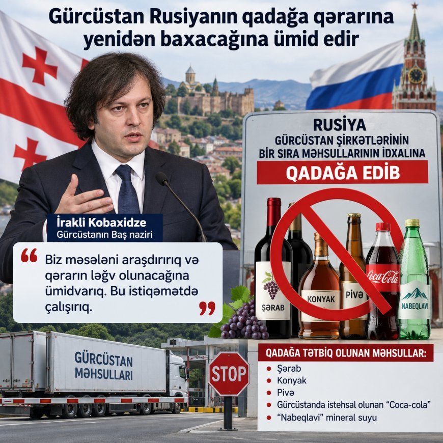 Kobaxidze Rusiyanın Gürcüstan məhsullarına idxal qadağasına münasibət bildirib