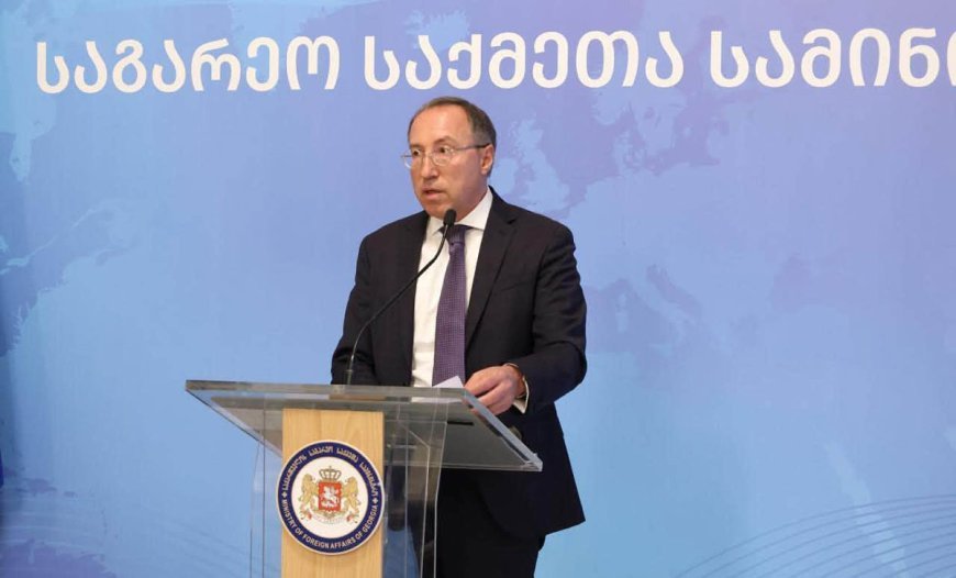 Gürcüstan Baş nazirinin Rusiya üzrə yeni xüsusi nümayəndəsi təyin edilib